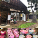 www.villagerockshop.com